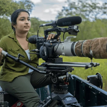 Filming Tigers with Aishwarya Sridhar